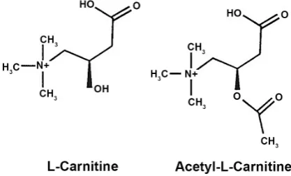 Figure 1. Chemical structures of L-carnitine and acetyl-L-carnitine. 