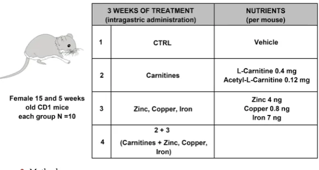 Figure 2. Methods. 