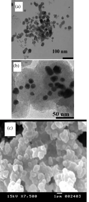 Figure 5. Micrographs (a) Pure Ag nanoparticles, (b) Ag nanoparticles coated with PPy and (c) SEM of pure Ppy