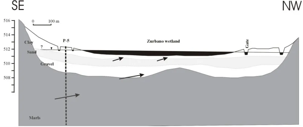 Fig. 4. Cross-section of the Zurbano wetland.