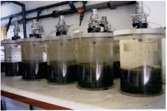 Fig. 1. Benthic chambers used in laboratory studies.