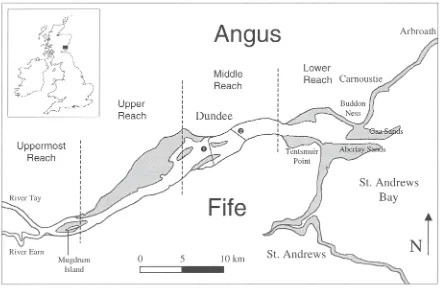 Fig. 1. The Tay Estuary and environs with the Rail (1) and Road (2) Bridges shown.  Areas shaded in grey are intertidal.Reaches are defined according to Buller et al