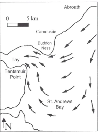Fig. 2. Mid-flood tidal current patterns in St. Andrews Bay(after Ferentinos and McManus, 1981).