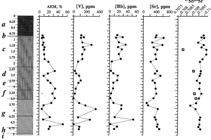 Fig. 2. Lithological log and selected sediment properties in the M25B core. AEM (%), trace elements (V, Rb, Sr infrom 4.9 to 3.5 m (to ratios in gastropods