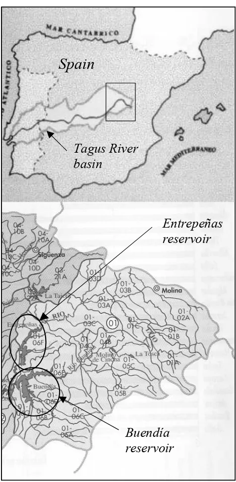 Fig. 1. Location of Entrepeñas and Buendía reservoirs in the TagusRiver basin (Spain)