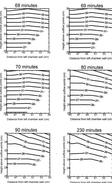 Fig. 3. Pressure head fields at different times in the capillary fringe below the central finger of Run 2