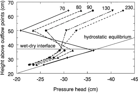 Fig. 4. Vertical pressure head profiles during Run 2, at 45 cm to theright of the left tank wall, the location of the central finger