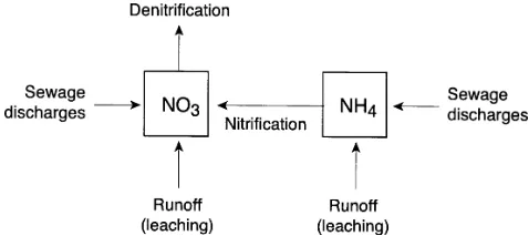 Fig. 3. Instream inputs and processes incorporated within INCA(source: Wade et al, 2001)