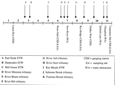 Fig. 4. Schematic diagram of the River Lee boundary structure. CEH – Centre for Ecology and Hydrology; EA – Environment Agency.