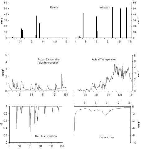 Fig. 3. Daily output of the SWAP model for the base case using pedo-transfer functions