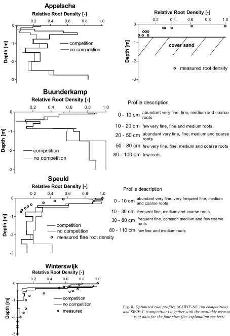 Fig. 8. Optimised root profiles of SWIF-NC (no competition)