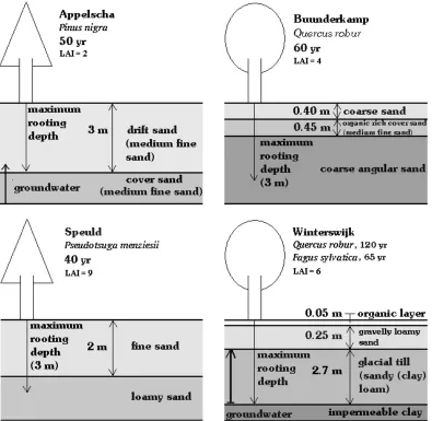 Fig. 1. Schematic overview of the four different sites