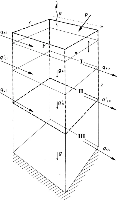 Fig. B1.  Definition diagram for analysis of lysimeter theory. Itthick broken line. It spans the acrotelm I and the upper part II of thecatotelm, the lower part of which is labelled III
