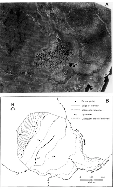 Fig. 2.  (A) air photograph of the Strathy site. (B) Contour map of the Strathy site. Contours derived from theodolite/EDM survey of points atintersections of a 50 m square grid; contour heights related to an (arbitrary) datum 20 m below ground level at th