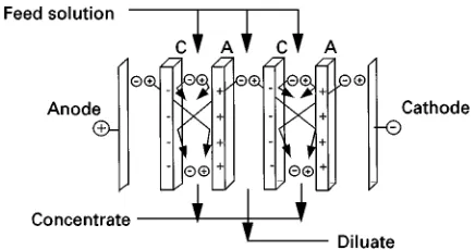 Figure 2Schematic drawing illustrating the structure of acation exchange membrane.