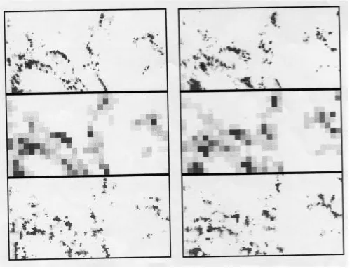 Fig. 13. Correlation of within wet grid-square intensities