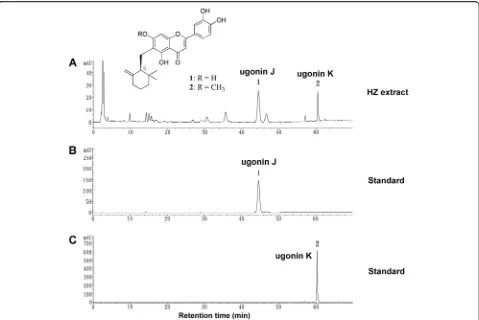 Fig. 1 Characterization of HZ extract. a HPLC chromatograms of HZ extract. Two major peaks were identified in the HZ extract