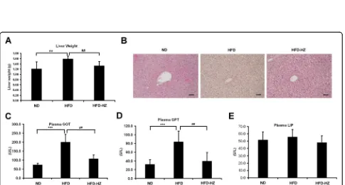 Fig. 5 The effect of HZ extract treatment on plasma lipid levels in C57BL/6 J mice fed an HFD