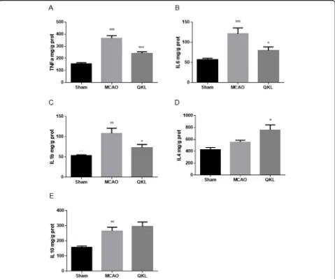 Fig. 4 Analysis of the expression of pro-inflammatory cytokines, TNF-α, IL-6 and IL-1β, and anti-inflammatory cytokines, IL-4 and IL-10
