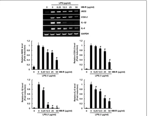 Fig. 2 Inhibitory effect of HM-R against iNOS, COX-2, IL-1β and IL-6 in LPS-stimulated RAW264.7 cells