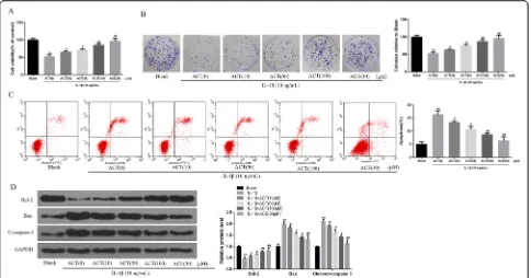 Fig. 4 ACT inhibits JAK/STAT signaling in primary chondrocytes. Rat primary chondrocytes were untreated or treated with 10 ng/mL IL-1βtogether with different concentration of ACT ACE (positive control, 30 μM) for 24 h