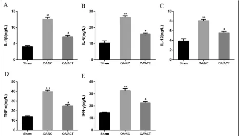 Fig. 5 ACT inhibits inflammatory cytokine production in synovial tissue of surgery-stimulated OA rats