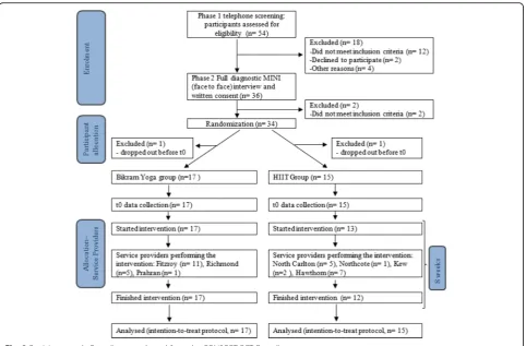 Fig. 2 Participant study flow diagram adapted from the CONSORT RCT flow diagram