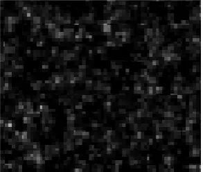 Figure 3. The radiation image under a single particle action. 