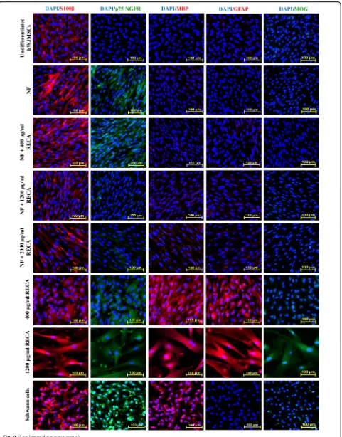 Fig. 9 (See legend on next page.)