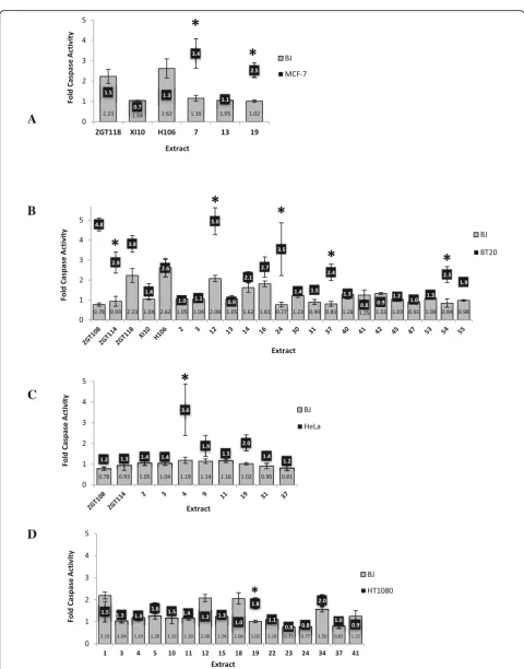Fig. 2 Caspase 3/7 Activity in cells treated with bacterial extract. Normal skin fibroblast cell line BJ and four cancer cell lines MCF-7, BT20, HeLaand HT1080 were treated with 200 μg/ml bacterial extract for 48 h (a-d)