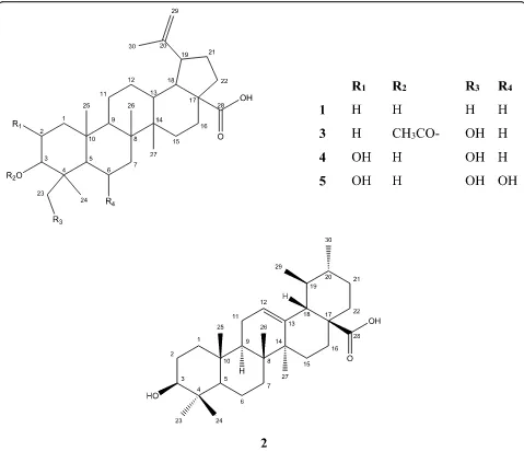 Fig. 1 Structures of the isolated compounds 1–5 from DCMF of C. quadrifidus leaves