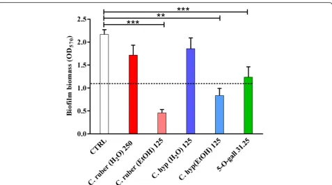 Fig. 4 Inhibitory effect of Cytinus hypocystis and Cytinus ruber extracts (at concentrations ranging from 125 to 250 μg/ml) and penta-O-galloyl-β-D-glucose (abbreviated as 5-O-gall in the graph; 31.25 μg/ml) on biofilm formation of S