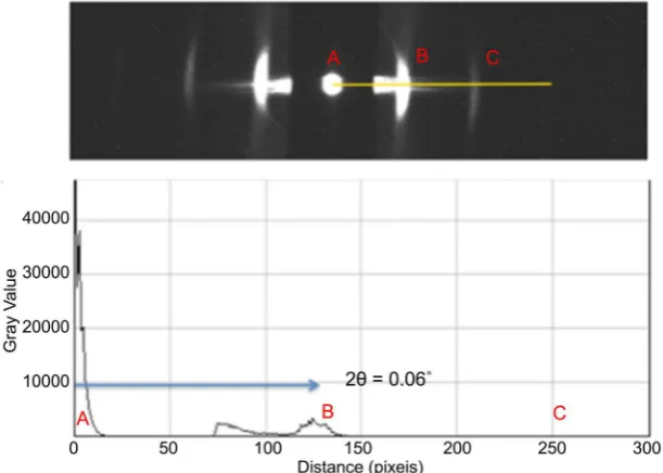 Figure 4. (Color online) Small angle scatting pattern of collagen. 
