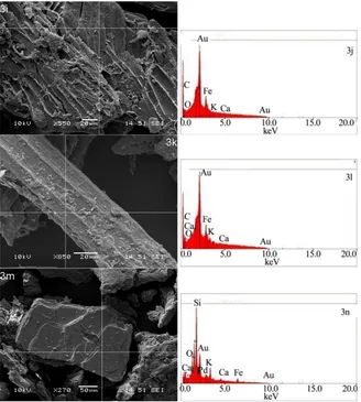 Figure 3. SEM micrographs of CKS (a) & (b) Particle shapes of the powder (c), (d) & (f) Aggregate agglomerated microstructure (e), (g) & (h) Microporous microstructure (i), (k) & (m) EDS apertures (j), (l) & (n) EDS spectra of particles in Figure 3(i), Fig