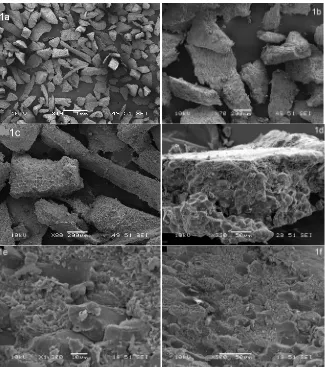 Figure 1. SEM micrographs of PKS (a) particle shapes of the powder (b), (c) & (d) cake-like poorly compacted particle structure (e) & (f) distinct material constituents