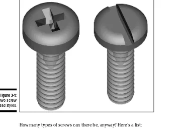 Figure 3-1:Two screw