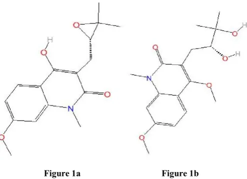 Figure 1a                                    Figure 1b 