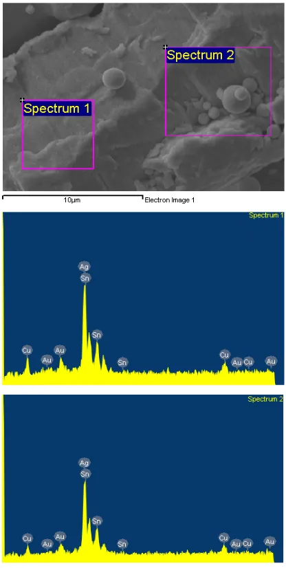 Figure 2. SEM analysis of admixed high copper amalgam. 
