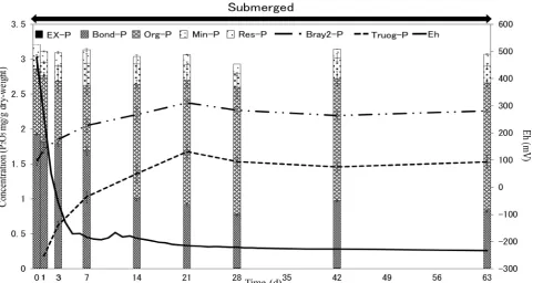 Figure 2. Concentrations of P and the voltage of Eh in the soil during the experimental period