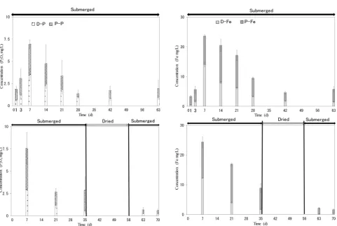 Figure 5. The changes in D-P, P-P, D-Fe, and P-Fe concentrations with time in each incubation experiment