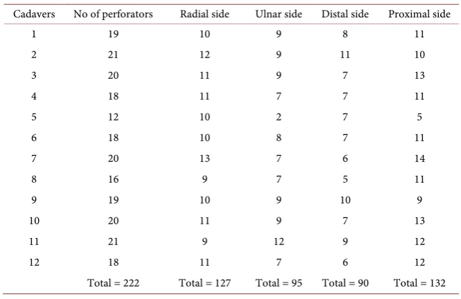 Figure 1. Radial artery perforators to skin.