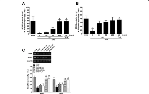 Fig. 5 Effects of AC on brain-derived neurotrophic factor (BDNF) and cAMP-response element-binding protein (CREB) protein levels (a and b) andmRNA expression in the hippocampus of rats with SPS-induced memory impairment