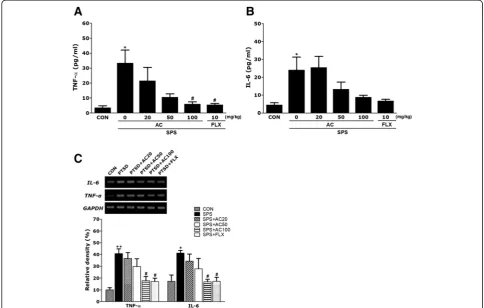Fig. 6 Effects of AC on tumor necrosis factor-levels were normalized to GAPDH levels as an internal control (hippocampus of rats with SPS-induced memory impairment