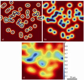 Figure 5. Numerical simulation spin index distribution showing formation of misoriented stray-grains in TLP joint between single crystal substrates
