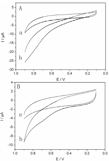 Figure 3. Cyclic voltammograms for Pd/RGO/GCE (A) and RGO/GCE (B) in the absence (a) and the presence (b) of 5 mM Hphate buffer (0.05 M, pH 6.85).2O2