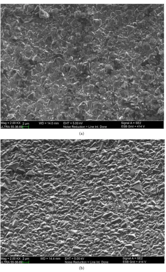 Figure 6. SEM micrographs of the surface morphology of the diamond coatings. (a) Rake face; (b) Flank face