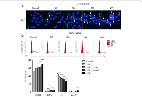 Fig. 3 CTPG induced chromosomal condensation and cell cycle arrest in H22 cells. H22 cells were treated with different concentrations of CTPGfor 24 h