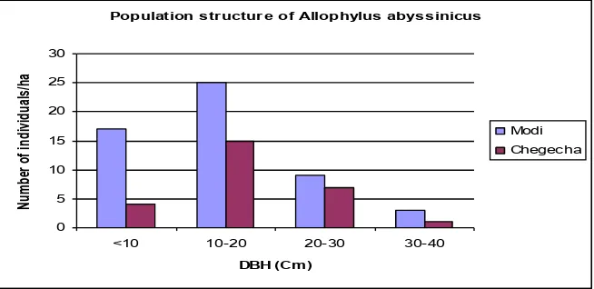 Figure 12. Population structure of Allophylus abyssinicus   in Modi and Chegecha Pas 