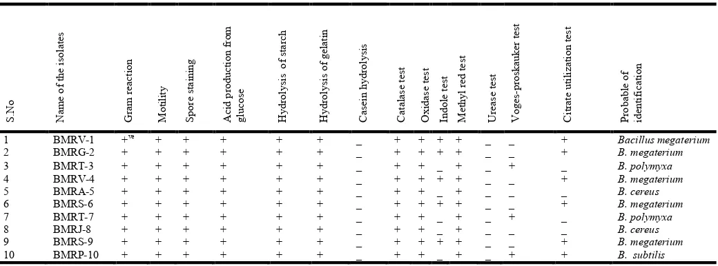 Table 4. Phenotypic and biochemical Characterization of Bacillus   isolates from maize Rhizosphere soil samples of Salem District  