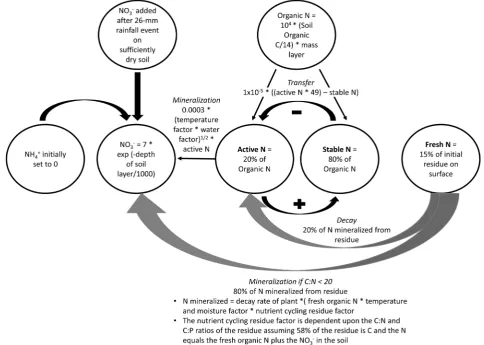Figure 1. The N cycle as defined in the SWAT-flush model [3] [7]. 